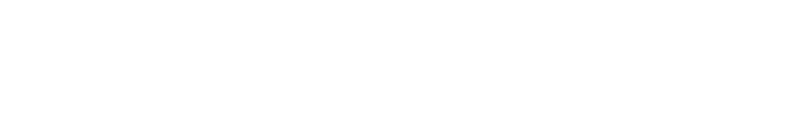 SolusVM